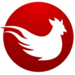 Đá Gà Trực Tiếp ĐÁ GÀ TRỰC TIẾP THOMO CAMPUCHIA's profile picture