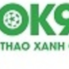 OK9 Net's profile picture