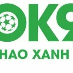 Ok9  ist's profile picture