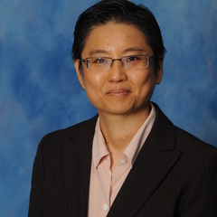 Siew Chan's profile picture