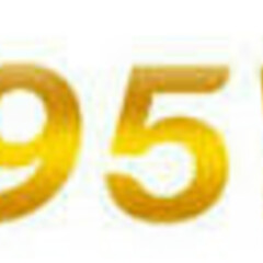 95 vn's profile picture