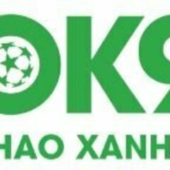 CEO Trần Hoàng's profile picture