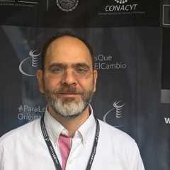 David Güemes-Castorena's profile picture