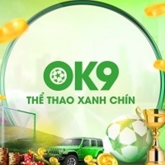 OK9  so's profile picture