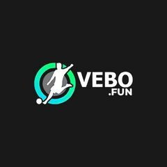 Vebo Fun's profile picture