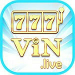 777VIN Live's profile picture