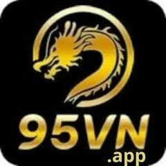 95vn app's profile picture