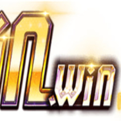 VINWIN M4's profile picture