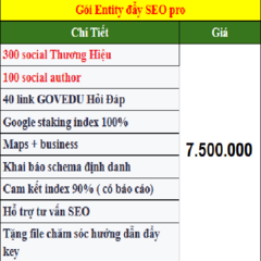 dichvuentity vuawebdigi's profile picture