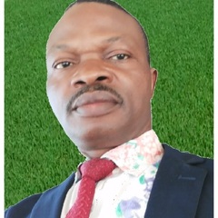 Bello  S's profile picture