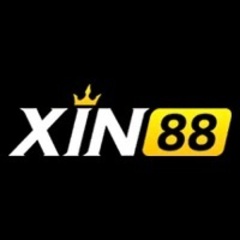 Xin88 Io's profile picture