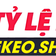 Ty le keo's profile picture