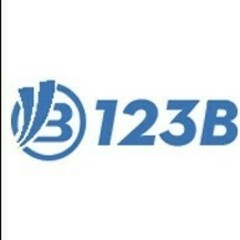 123b vn's profile picture