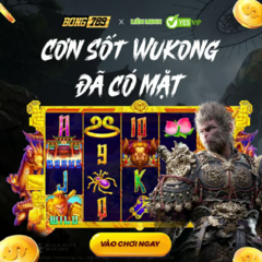 nohu uytin's profile picture