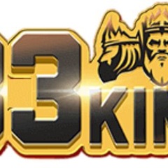 33King  net's profile picture