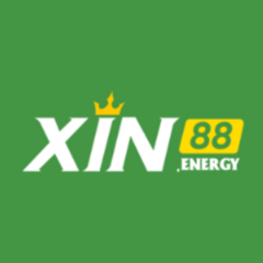 Xin88  energy's profile picture