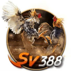 SV388 sarl's profile picture