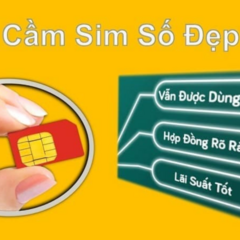 Cầm Sim's profile picture
