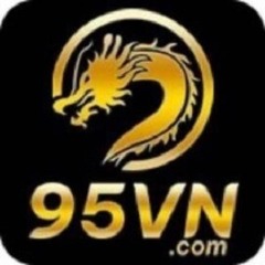 95vn  guru's profile picture