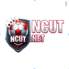 nhacaiuytin nett's profile picture