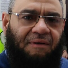 Mohamed Eleiche's profile picture