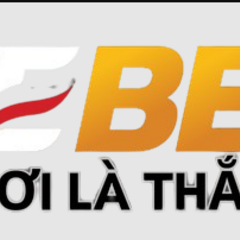 debetvn koeln's profile picture