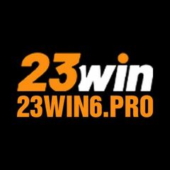 23WIN  Pro's profile picture