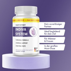 Indiva System Avis's profile picture