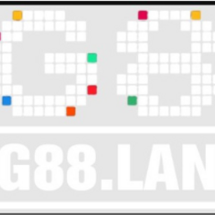 pg88 land's profile picture