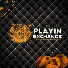 Playinexch1  in's profile picture