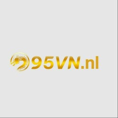 95VN nl's profile picture