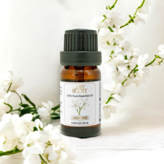 tinhdau hoalai's profile picture