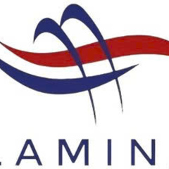 Thiết bị bể bơi Lamina's profile picture