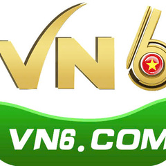 vn6 codes's profile picture