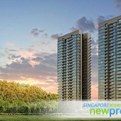 Hillhaven Far East's profile picture