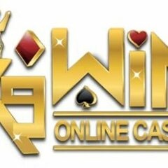 K9WIN codes's profile picture