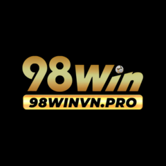 98Winvn  Pro's profile picture