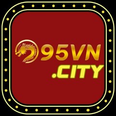 95VN city's profile picture