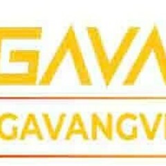 gavangtv vipsite's profile picture