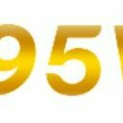 95VN digital's profile picture