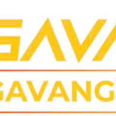 gavang vipme's profile picture
