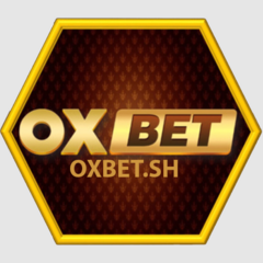 OXBET  sh's profile picture