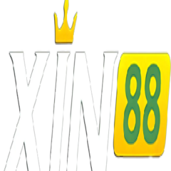 xin recipes's profile picture