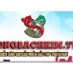 Rong bachkimtv's profile picture