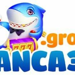 Banca30 Group's profile picture