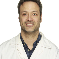 Manuel Gómez-Guzmán's profile picture