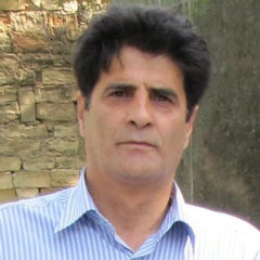 Hassan Khalili Zonouz's profile picture