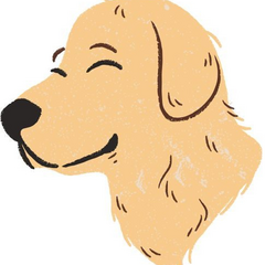 Best Food For Golden Retriever's profile picture