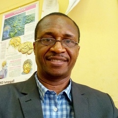 samuel uwaezuoke's profile picture