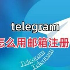 Telegram Chinese's profile picture